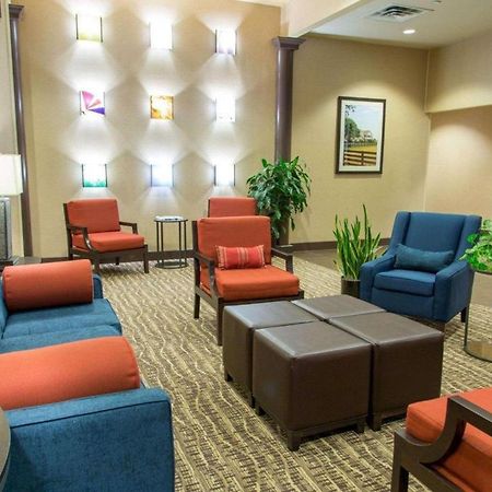 Comfort Inn Dfw Airport North 格雷普韦恩 外观 照片